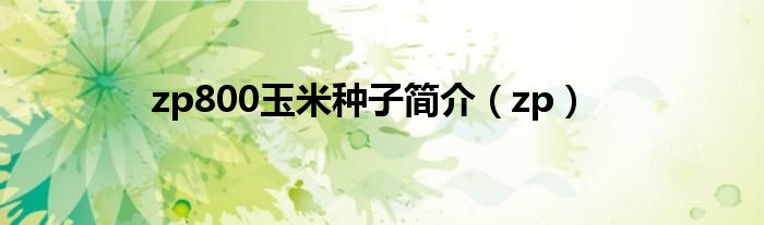 zp800玉米种子简介（zp）