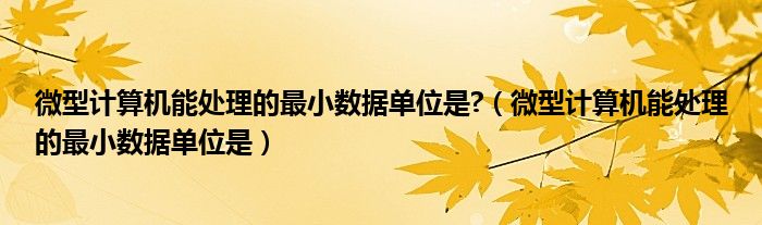 微型计算机能处理的最小数据单位是?（微型计算机能处理的最小数据单位是）