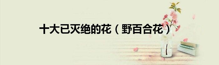 十大已灭绝的花（野百合花）