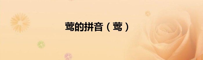 莺的拼音（莺）