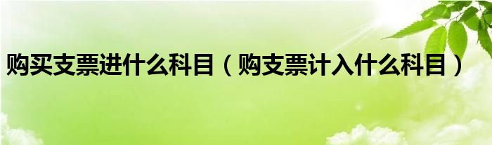 购买支票进什么科目（购支票计入什么科目）