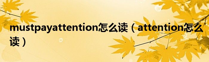 mustpayattention怎么读（attention怎么读）