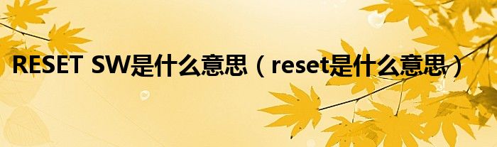 RESET SW是什么意思（reset是什么意思）
