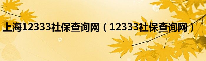 上海12333社保查询网（12333社保查询网）