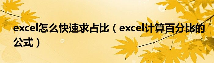 excel怎么快速求占比（excel计算百分比的公式）