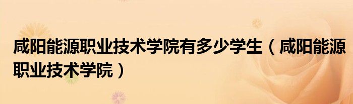 咸阳能源职业技术学院有多少学生（咸阳能源职业技术学院）