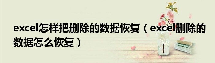 excel怎样把删除的数据恢复（excel删除的数据怎么恢复）