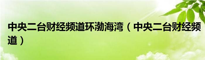 中央二台财经频道环渤海湾（中央二台财经频道）