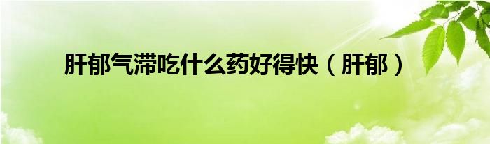 肝郁气滞吃什么药好得快（肝郁）