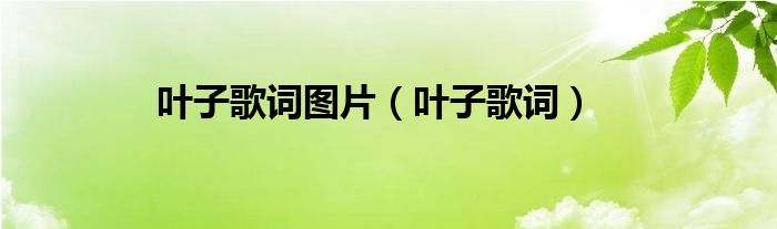 叶子歌词图片（叶子歌词）