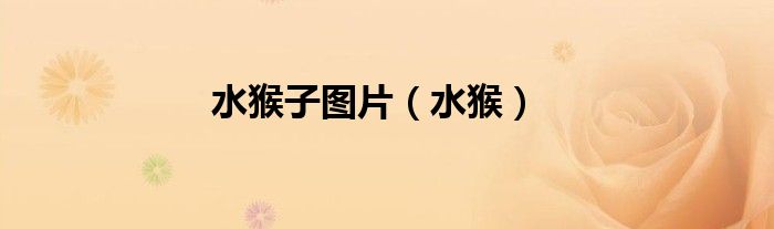 水猴子图片（水猴）