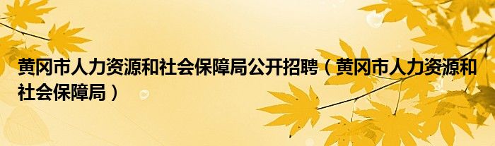 黄冈市人力资源和社会保障局公开招聘（黄冈市人力资源和社会保障局）