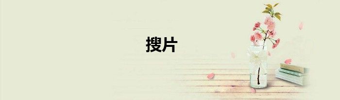 搜片