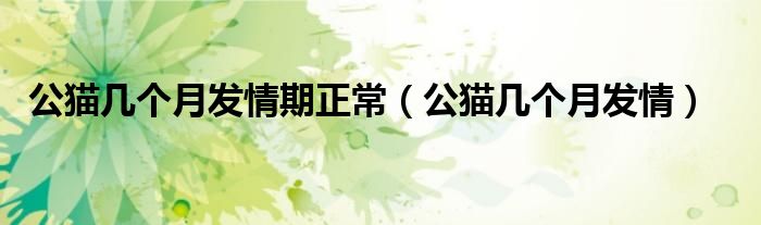公猫几个月发情期正常（公猫几个月发情）