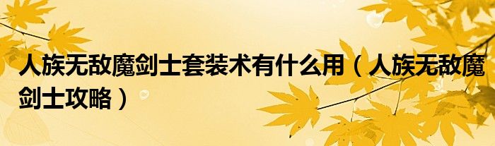 人族无敌魔剑士套装术有什么用（人族无敌魔剑士攻略）