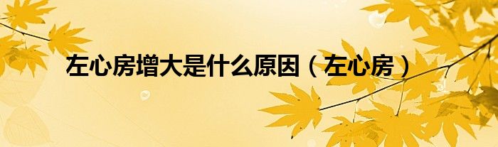 左心房增大是什么原因（左心房）