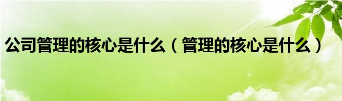 公司管理的核心是什么（管理的核心是什么）