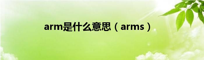 arm是什么意思（arms）