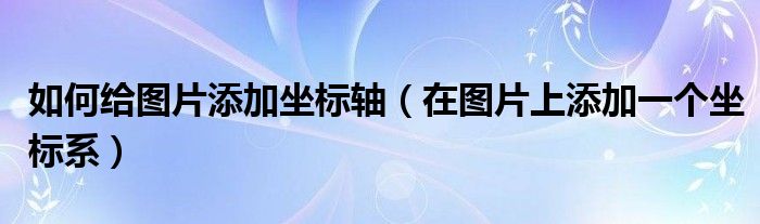 如何给图片添加坐标轴（在图片上添加一个坐标系）