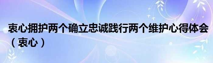 衷心拥护两个确立忠诚践行两个维护心得体会（衷心）