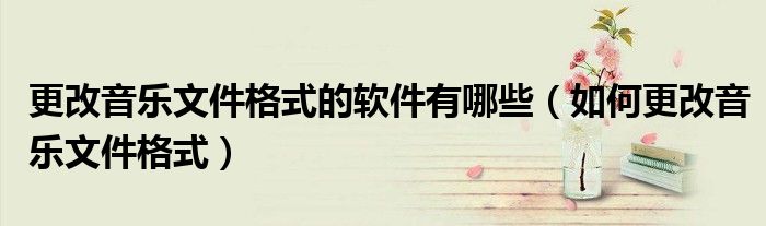 更改音乐文件格式的软件有哪些（如何更改音乐文件格式）