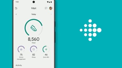 Fitbit应用程序经过细微重新设计重点关注心率统计数据