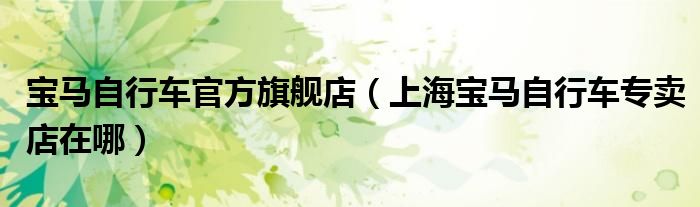 宝马自行车官方旗舰店（上海宝马自行车专卖店在哪）