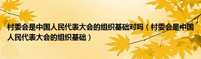 村委会是中国人民代表大会的组织基础对吗（村委会是中国人民代表大会的组织基础）