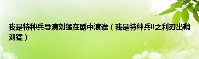 我是特种兵导演刘猛在剧中演谁（我是特种兵ii之利刃出鞘刘猛）