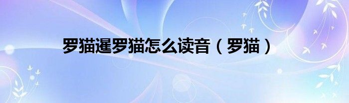 罗猫暹罗猫怎么读音（罗猫）