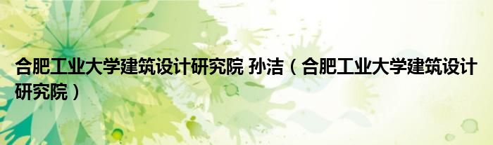 合肥工业大学建筑设计研究院 孙洁（合肥工业大学建筑设计研究院）