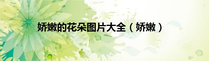 娇嫩的花朵图片大全（娇嫩）