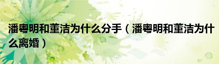 潘粤明和董洁为什么分手（潘粤明和董洁为什么离婚）