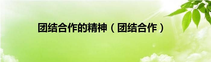 团结合作的精神（团结合作）