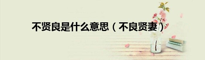 不贤良是什么意思（不良贤妻）