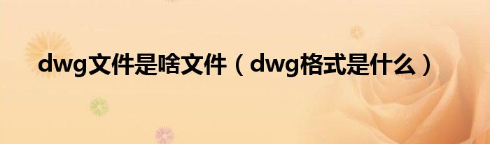 dwg文件是啥文件（dwg格式是什么）