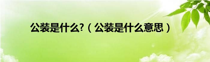 公装是什么?（公装是什么意思）