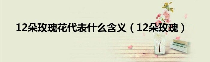 12朵玫瑰花代表什么含义（12朵玫瑰）