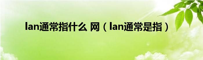lan通常指什么 网（lan通常是指）
