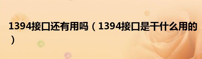 1394接口还有用吗（1394接口是干什么用的）