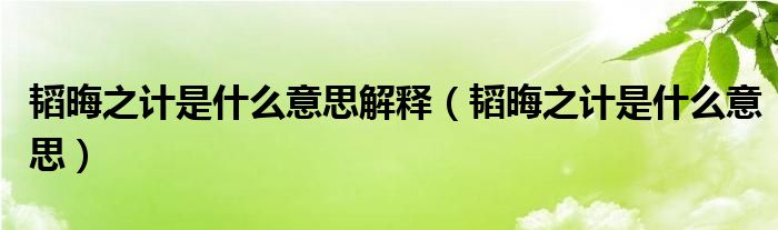 韬晦之计是什么意思解释（韬晦之计是什么意思）