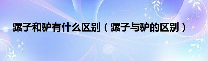 骡子和驴有什么区别（骡子与驴的区别）