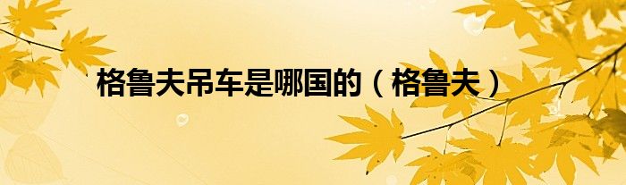 格鲁夫吊车是哪国的（格鲁夫）