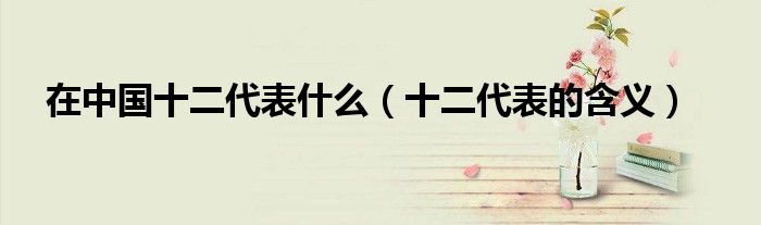 在中国十二代表什么（十二代表的含义）