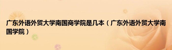 广东外语外贸大学南国商学院是几本（广东外语外贸大学南国学院）