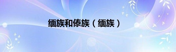 缅族和傣族（缅族）