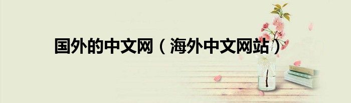 国外的中文网（海外中文网站）