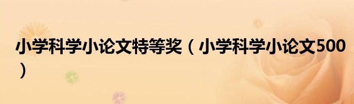 小学科学小论文特等奖（小学科学小论文500）