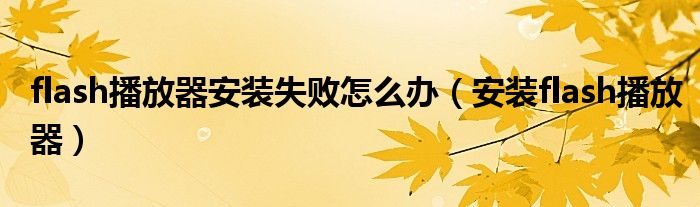 flash播放器安装失败怎么办（安装flash播放器）