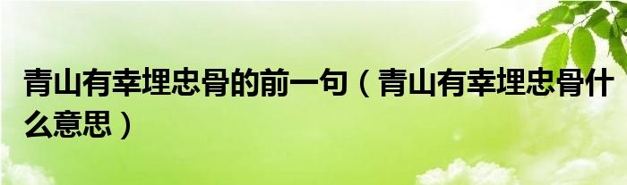 青山有幸埋忠骨的前一句（青山有幸埋忠骨什么意思）